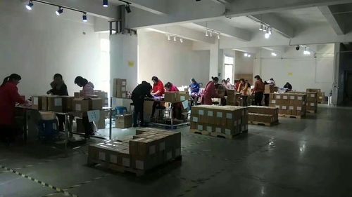 上海金山劳务派遣劳务外包岗位外包公司业务广