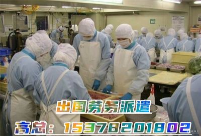 高薪海外就业 建筑工、厨师、司机、普工年薪40万起，专业劳务派遣助您圆梦